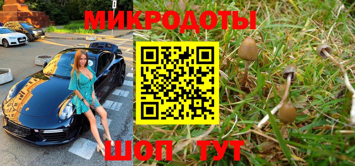 Ржев  Галлюциногенные грибы Psilocybe  Вход с VPN 
