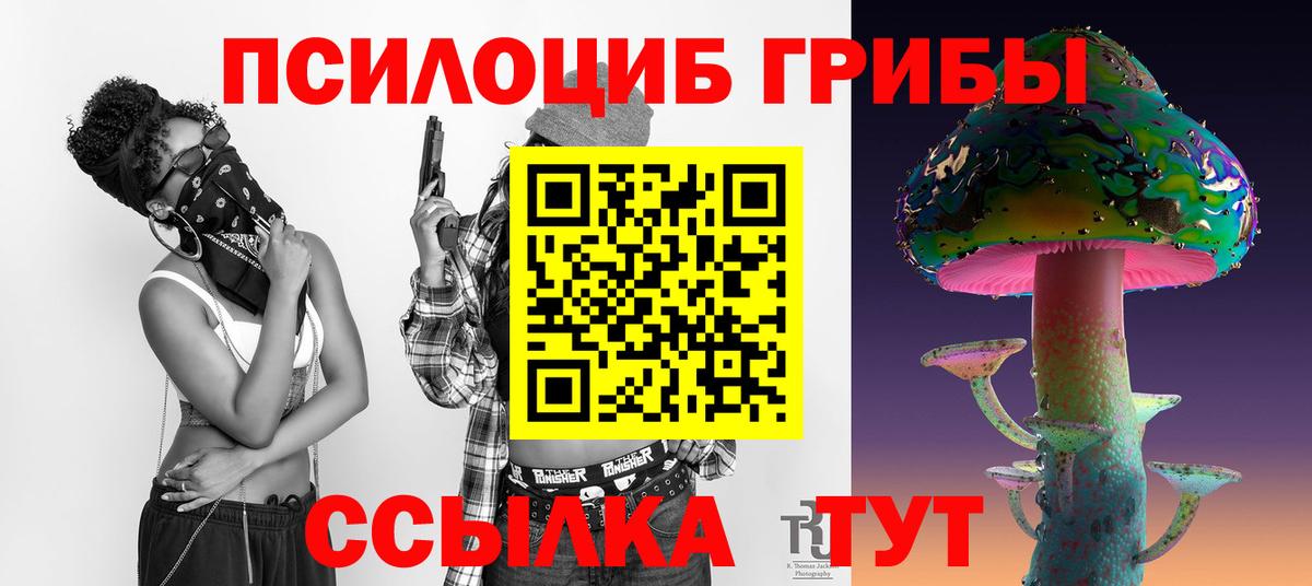 Псилоцибиновые грибы прущие грибы Ржев